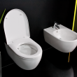 Innowacyjna miska WC na wystawie ?Dobry Wzór 2013?